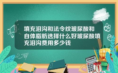 填充泪沟和法令纹玻尿酸和自体脂肪选择什么好玻尿酸填充泪沟费用多少钱