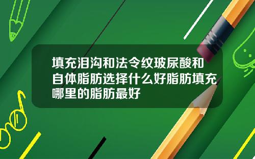 填充泪沟和法令纹玻尿酸和自体脂肪选择什么好脂肪填充哪里的脂肪最好