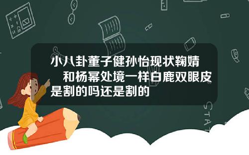 小八卦董子健孙怡现状鞠婧祎和杨幂处境一样白鹿双眼皮是割的吗还是割的