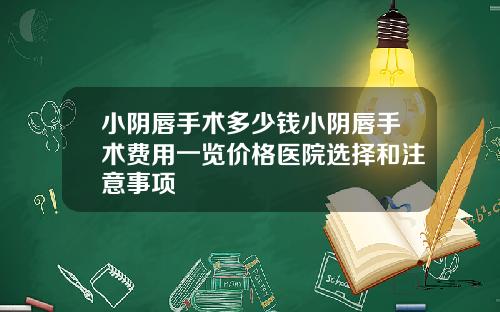 小阴唇手术多少钱小阴唇手术费用一览价格医院选择和注意事项