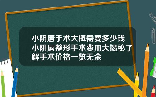 小阴唇手术大概需要多少钱小阴唇整形手术费用大揭秘了解手术价格一览无余