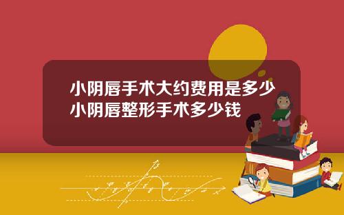 小阴唇手术大约费用是多少小阴唇整形手术多少钱