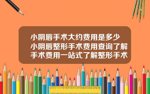 小阴唇手术大约费用是多少小阴唇整形手术费用查询了解手术费用一站式了解整形手术费用情况