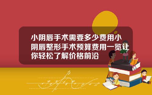 小阴唇手术需要多少费用小阴唇整形手术预算费用一览让你轻松了解价格前沿