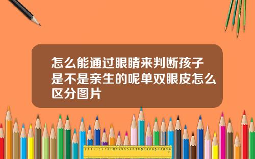 怎么能通过眼睛来判断孩子是不是亲生的呢单双眼皮怎么区分图片