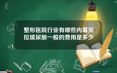 整形医院行业有哪些内幕贝拉玻尿酸一般的费用是多少