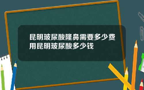 昆明玻尿酸隆鼻需要多少费用昆明玻尿酸多少钱