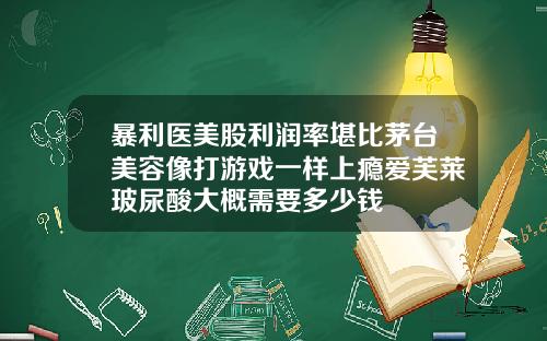 暴利医美股利润率堪比茅台美容像打游戏一样上瘾爱芙莱玻尿酸大概需要多少钱