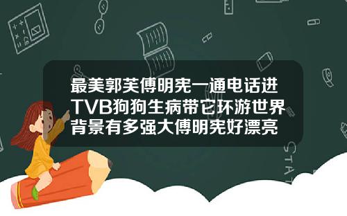 最美郭芙傅明宪一通电话进TVB狗狗生病带它环游世界背景有多强大傅明宪好漂亮