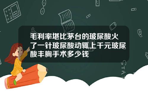 毛利率堪比茅台的玻尿酸火了一针玻尿酸动辄上千元玻尿酸丰胸手术多少钱