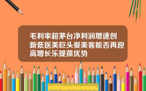 毛利率超茅台净利润增速创新低医美巨头爱美客能否再迎高增长乐提葆优势