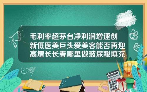 毛利率超茅台净利润增速创新低医美巨头爱美客能否再迎高增长长春哪里做玻尿酸填充好