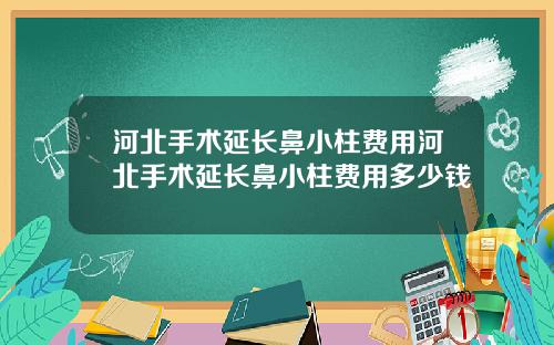河北手术延长鼻小柱费用河北手术延长鼻小柱费用多少钱