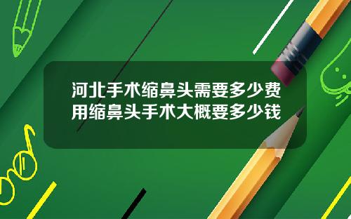河北手术缩鼻头需要多少费用缩鼻头手术大概要多少钱