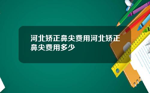 河北矫正鼻尖费用河北矫正鼻尖费用多少