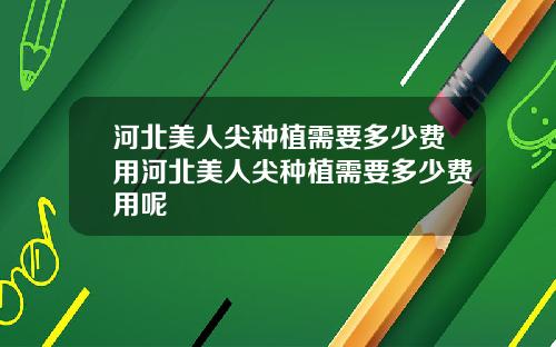 河北美人尖种植需要多少费用河北美人尖种植需要多少费用呢