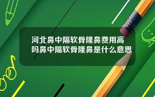 河北鼻中隔软骨隆鼻费用高吗鼻中隔软骨隆鼻是什么意思