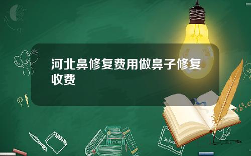 河北鼻修复费用做鼻子修复收费