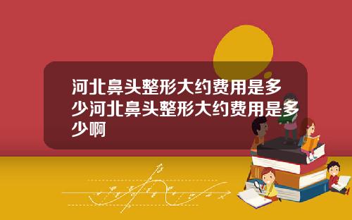 河北鼻头整形大约费用是多少河北鼻头整形大约费用是多少啊