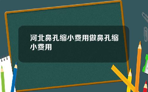河北鼻孔缩小费用做鼻孔缩小费用