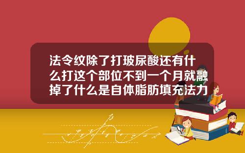 法令纹除了打玻尿酸还有什么打这个部位不到一个月就融掉了什么是自体脂肪填充法力纹