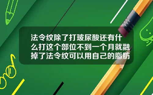 法令纹除了打玻尿酸还有什么打这个部位不到一个月就融掉了法令纹可以用自己的脂肪填充吗