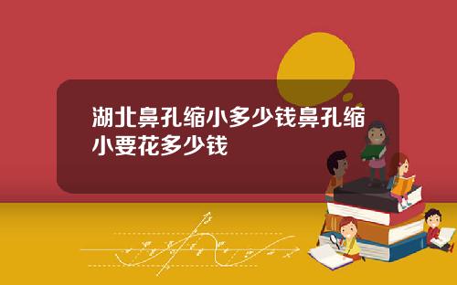 湖北鼻孔缩小多少钱鼻孔缩小要花多少钱