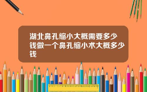 湖北鼻孔缩小大概需要多少钱做一个鼻孔缩小术大概多少钱