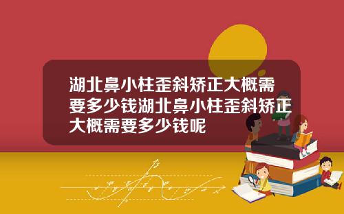 湖北鼻小柱歪斜矫正大概需要多少钱湖北鼻小柱歪斜矫正大概需要多少钱呢