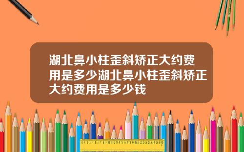 湖北鼻小柱歪斜矫正大约费用是多少湖北鼻小柱歪斜矫正大约费用是多少钱