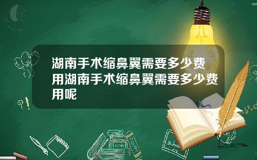 湖南手术缩鼻翼需要多少费用湖南手术缩鼻翼需要多少费用呢