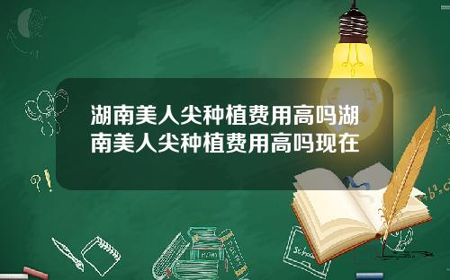 湖南美人尖种植费用高吗湖南美人尖种植费用高吗现在