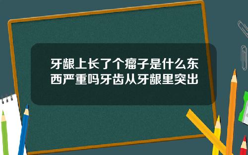 牙龈上长了个瘤子是什么东西严重吗牙齿从牙龈里突出