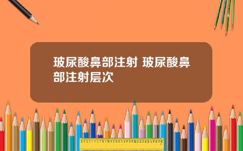 玻尿酸鼻部注射 玻尿酸鼻部注射层次