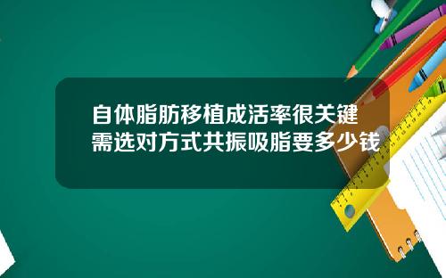自体脂肪移植成活率很关键需选对方式共振吸脂要多少钱