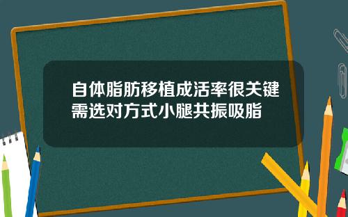 自体脂肪移植成活率很关键需选对方式小腿共振吸脂