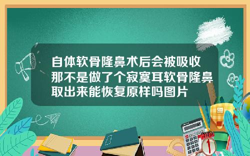 自体软骨隆鼻术后会被吸收那不是做了个寂寞耳软骨隆鼻取出来能恢复原样吗图片
