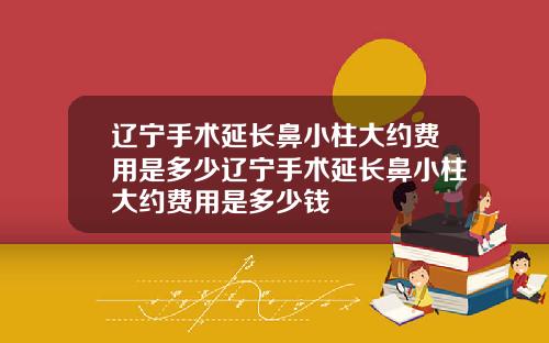 辽宁手术延长鼻小柱大约费用是多少辽宁手术延长鼻小柱大约费用是多少钱