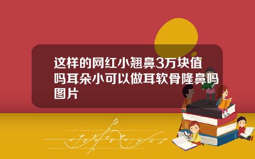 这样的网红小翘鼻3万块值吗耳朵小可以做耳软骨隆鼻吗图片