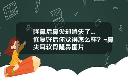 隆鼻后鼻尖却消失了...修复好后你觉得怎么样？-鼻尖耳软骨隆鼻图片