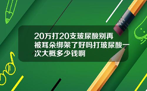 20万打20支玻尿酸别再被耳朵绑架了好吗打玻尿酸一次大概多少钱啊