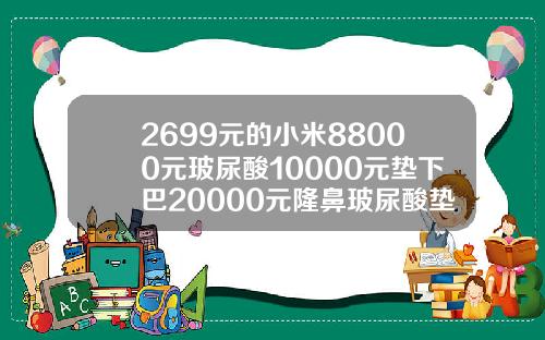 2699元的小米88000元玻尿酸10000元垫下巴20000元隆鼻玻尿酸垫下巴多少钱一次