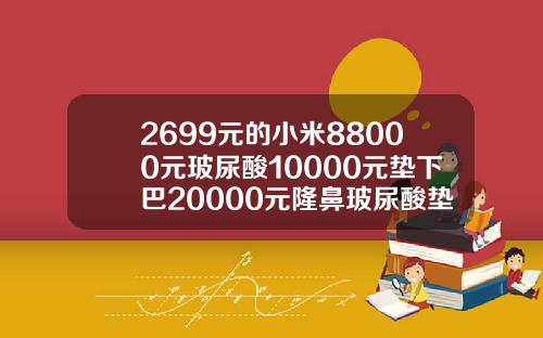 2699元的小米88000元玻尿酸10000元垫下巴20000元隆鼻玻尿酸垫下巴多少钱大概