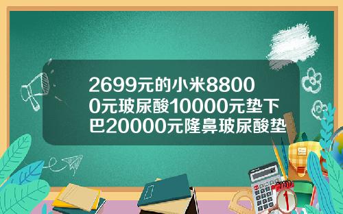 2699元的小米88000元玻尿酸10000元垫下巴20000元隆鼻玻尿酸垫下巴多少ml