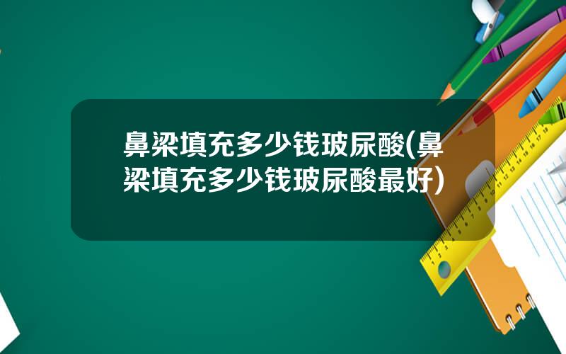 鼻梁填充多少钱玻尿酸(鼻梁填充多少钱玻尿酸最好)